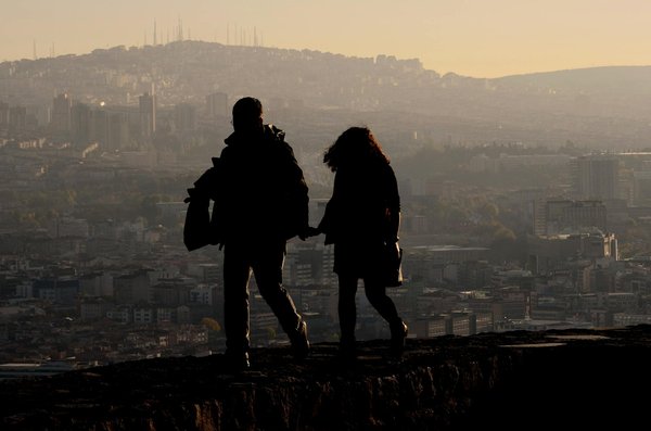 Discover the Top Wildlife Watching Spots in the Stunning Yorkshire Dales