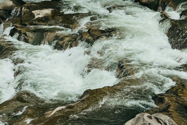 Explore the best local farmers" markets in the breathtaking cotswolds: your definitive guide to fresh finds